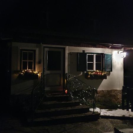 Ferienhaus Waldglueck Гозау Экстерьер фото